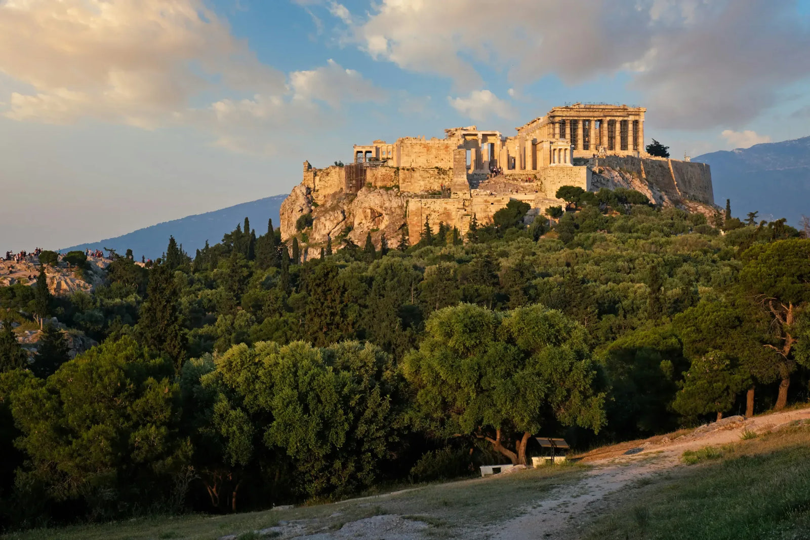 Mediterranean-inspired natural ingredients used in traditional hair care routines, showcasing the region’s botanical heritage and scientifically backed approach to supporting stronger, healthier-looking hair growth.