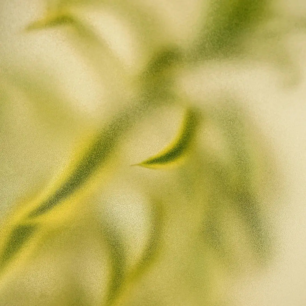 Invictus ingredients