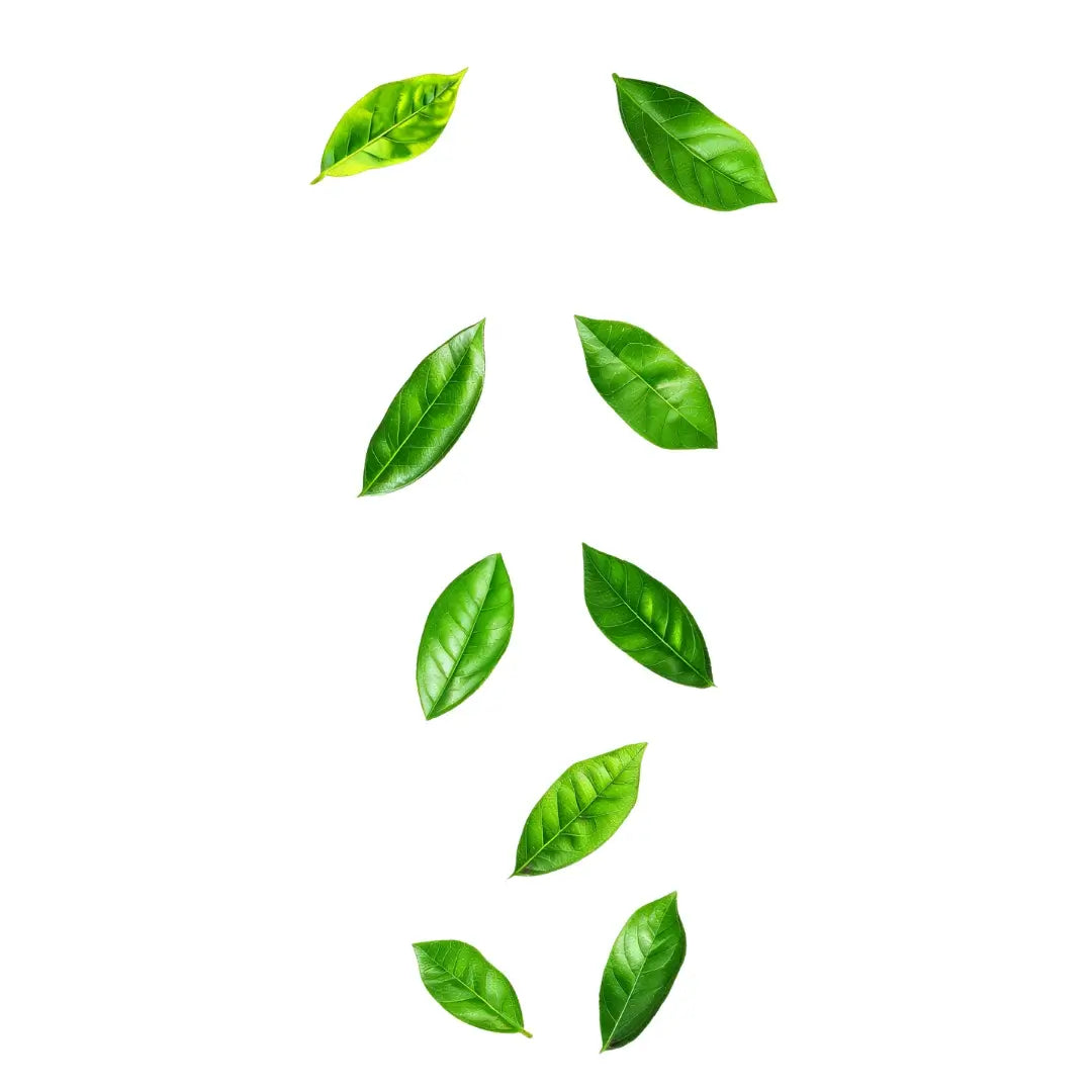 Tea tree oil in Medíté Invictus clarifies the scalp, clearing the buildup and flaking that hold back hair growth
